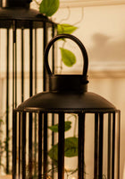 Skye Lanterns
