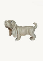 Cute Hound