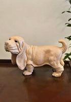 Cute Hound