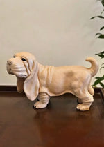 Cute Hound