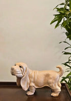 Cute Hound