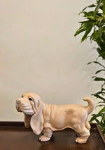 Cute Hound