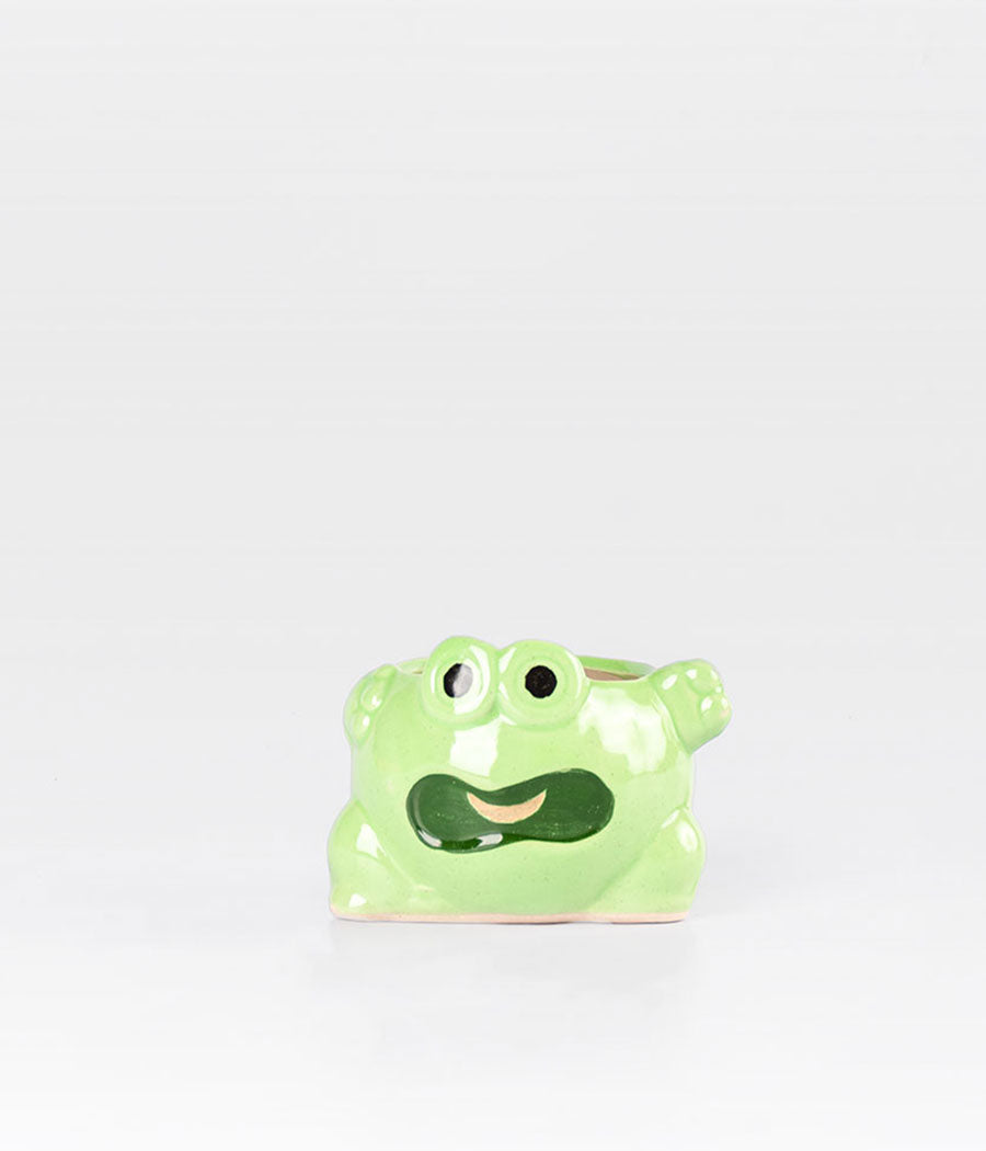 Frog Planter - Green
