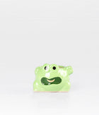 Green Frog Ceramic Planter Online