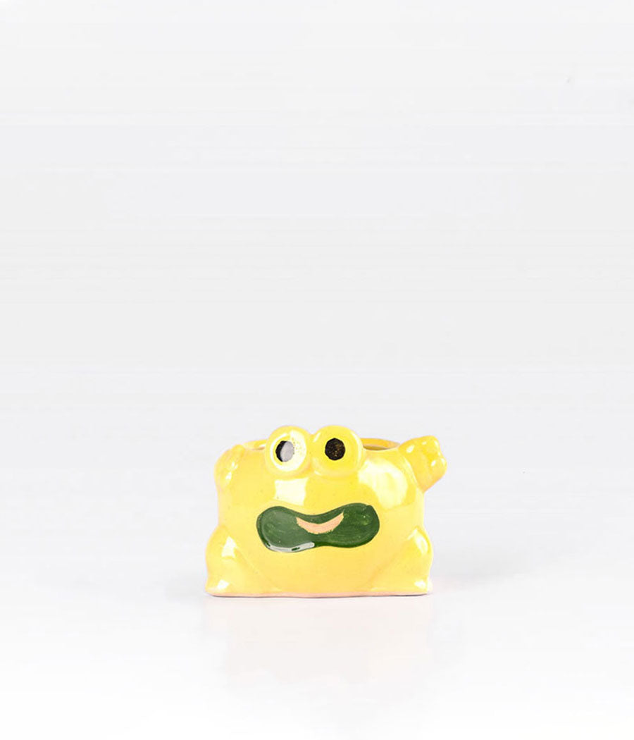 Frog Ceramic Yellow Planter