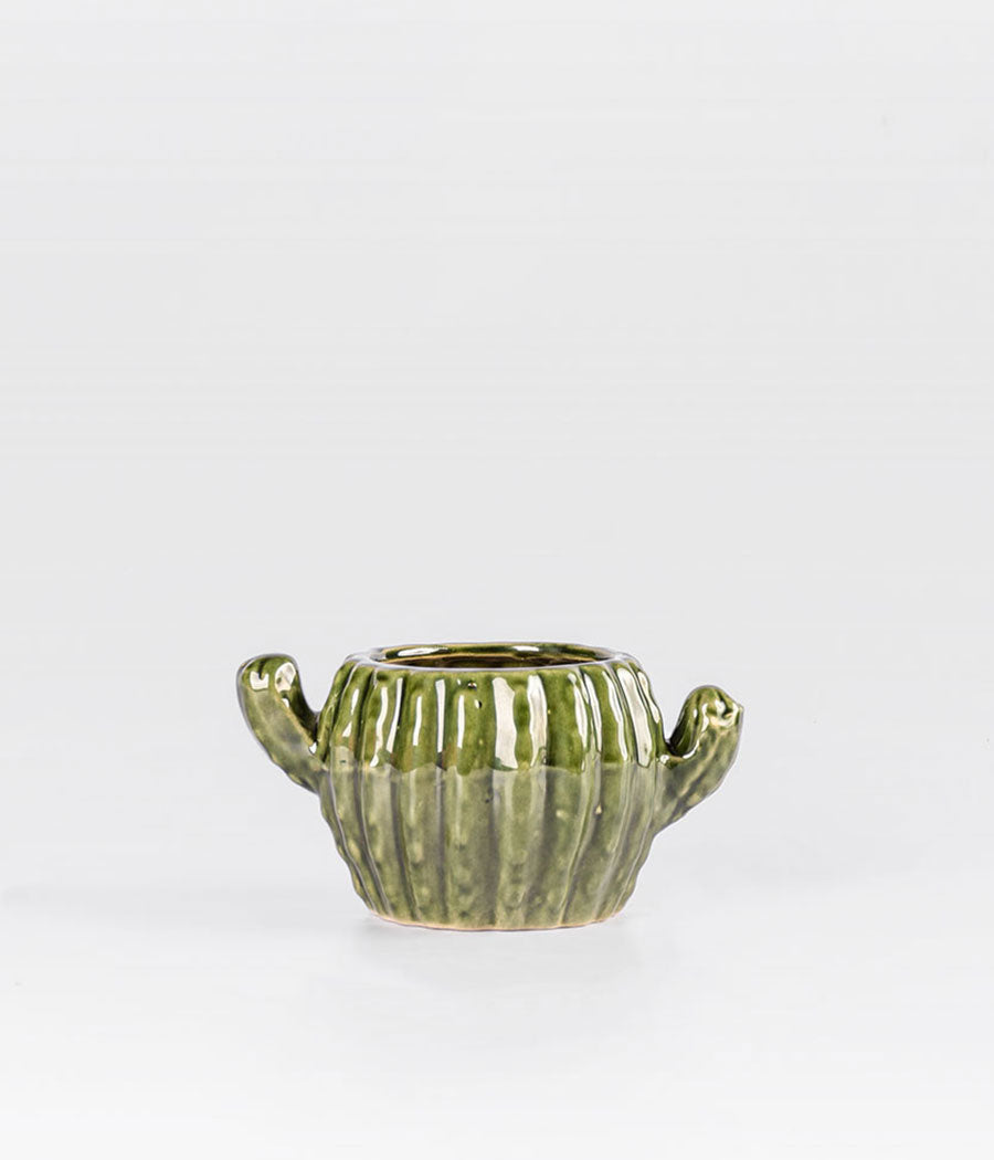 Olive Cactus Ceramic Planter