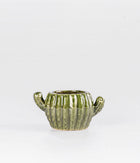 Olive Cactus Ceramic Planter Online