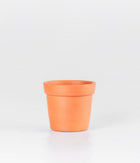 Brown Colour Clay Pot