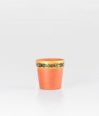 Golden Rim Design Brown Clay Pot