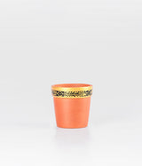 Golden Rim Design Brown Clay Pot