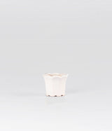 Tulip Shaped White Planter