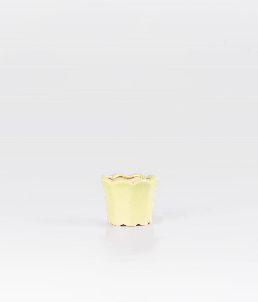 Tulip Shaped Green Planter