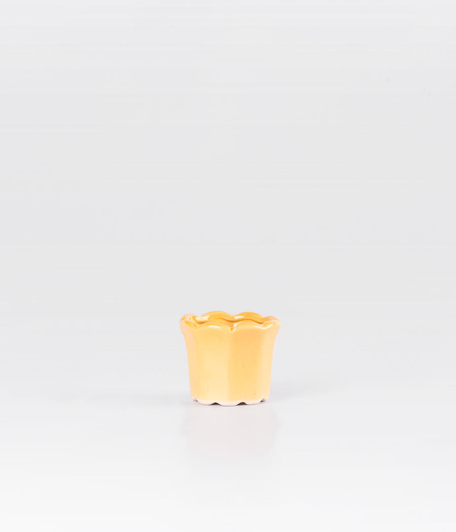 Tulip Shaped Yellow Planter