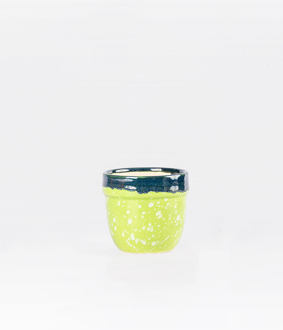 Blue & Green Multicolour Ceramic Planter