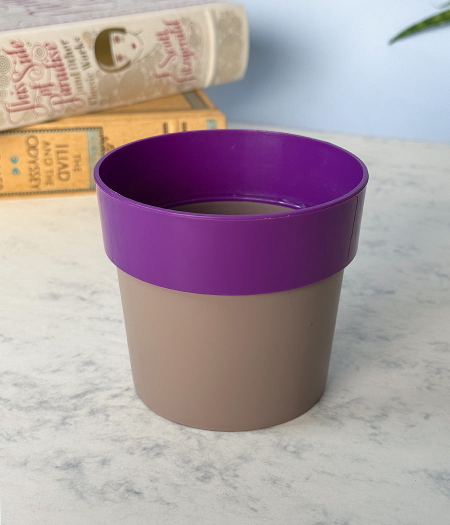 Sunny-side Planter