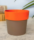 Sunny-side Planter