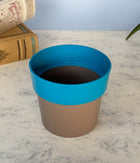 Sunny-side Planter