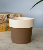 Sunny-side Planter