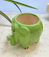 Elephant Ceramic Pot