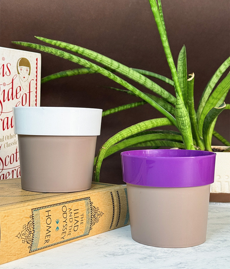 Duo Sunny-side Planter