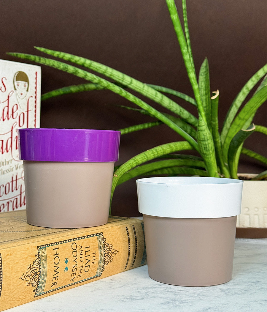 Duo Sunny-side Planter