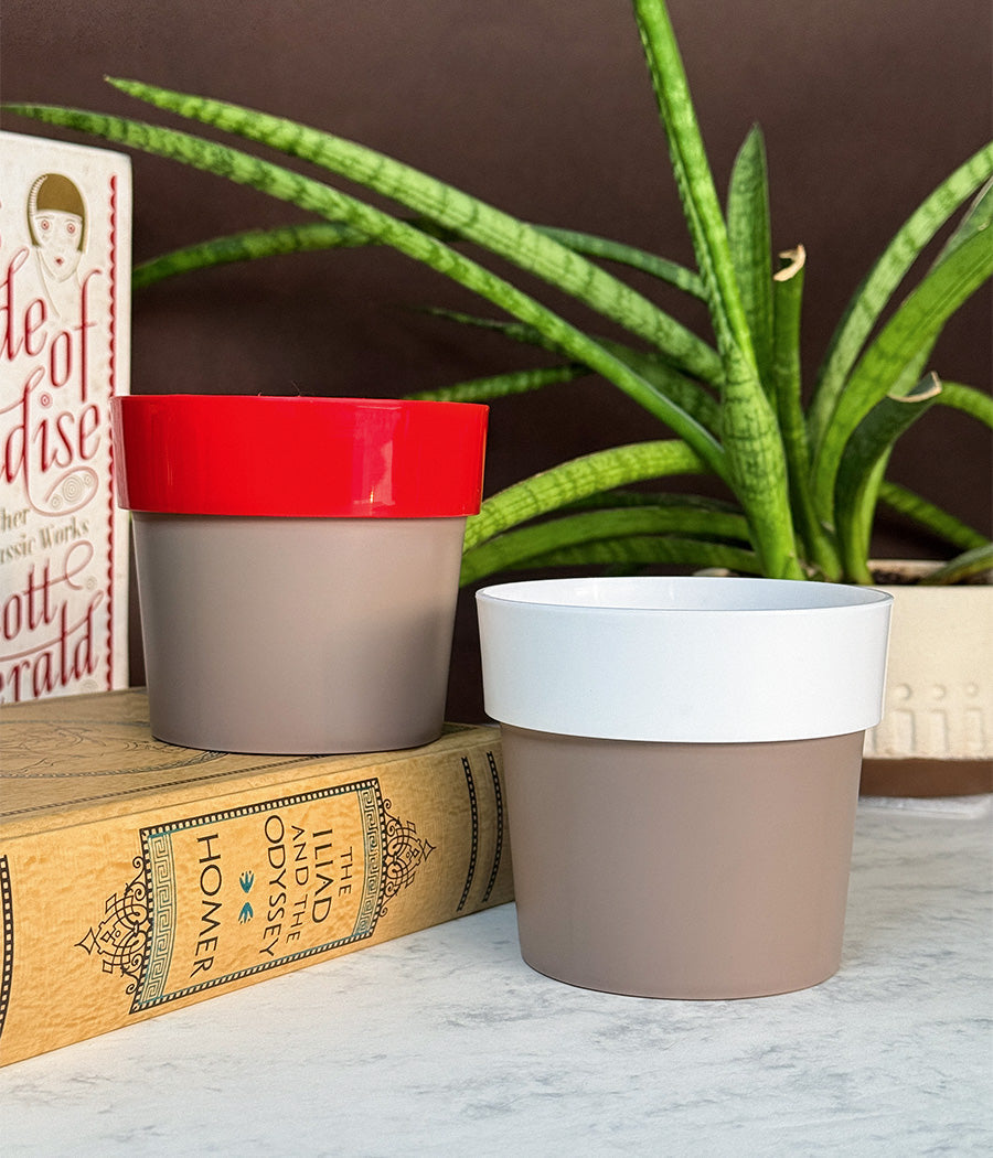 Duo Sunny-side Planter