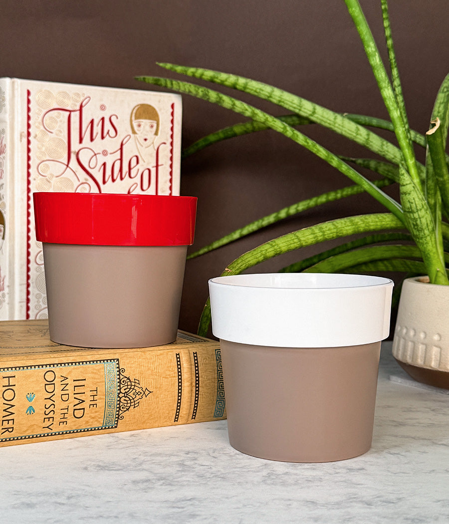 Duo Sunny-side Planter