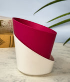 Self Watering Planter