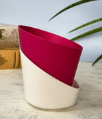 Self Watering Planter