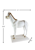 Regal Stallion