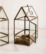 Shillong Terrariums - Set of 2