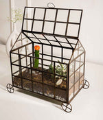 Odessa Terrarium