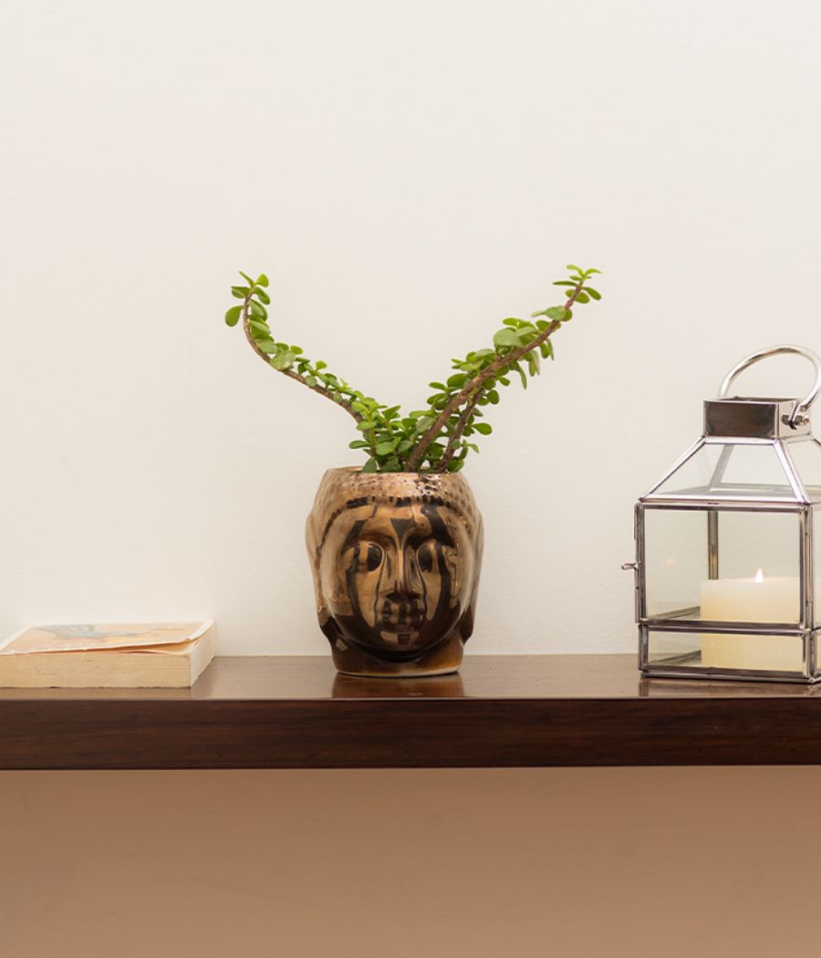 Resting Buddha Face Ceramic Pot