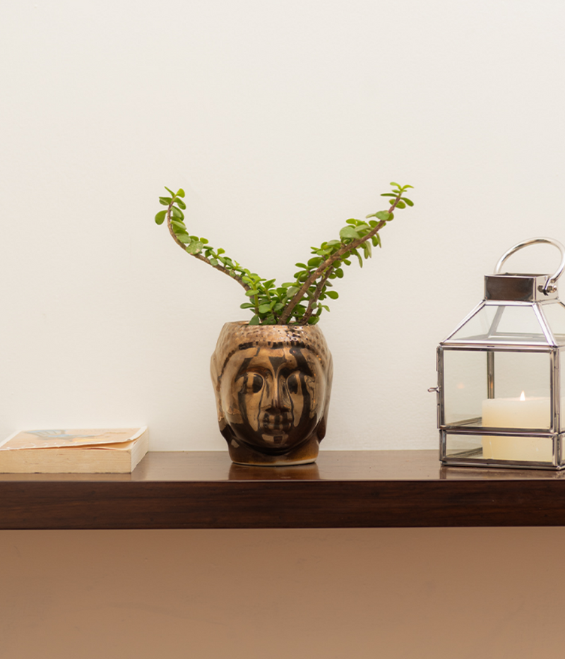 Resting Buddha Face Ceramic Pot