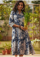 Lucky Bamboo Plant