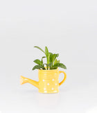 Cecilia Plant In Yellow Watering Can Ceramic Planter