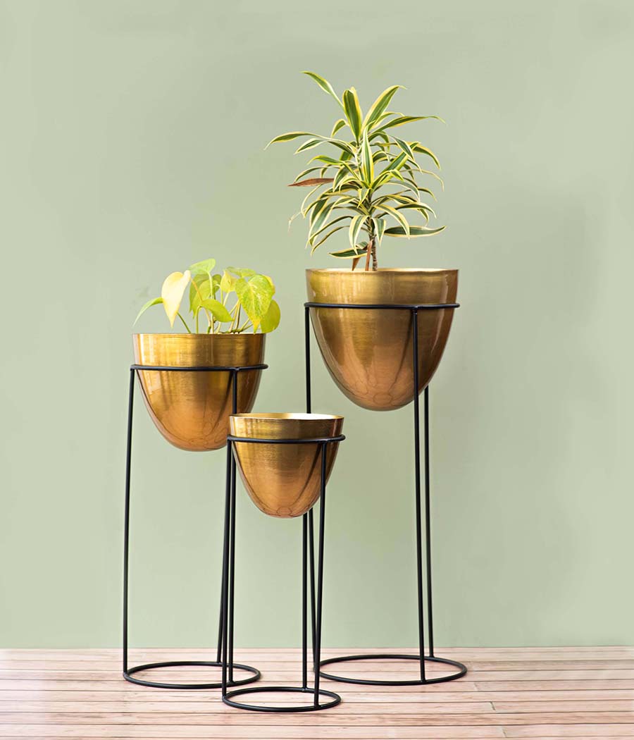 Indoor Golden Egg Shaped Metal Planter With Stand - Set of 3