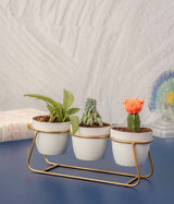 Ivory Pots Trio with Golden Stand