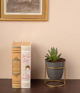 Grey Pot with Stand
