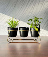 Desktop Pot Trio