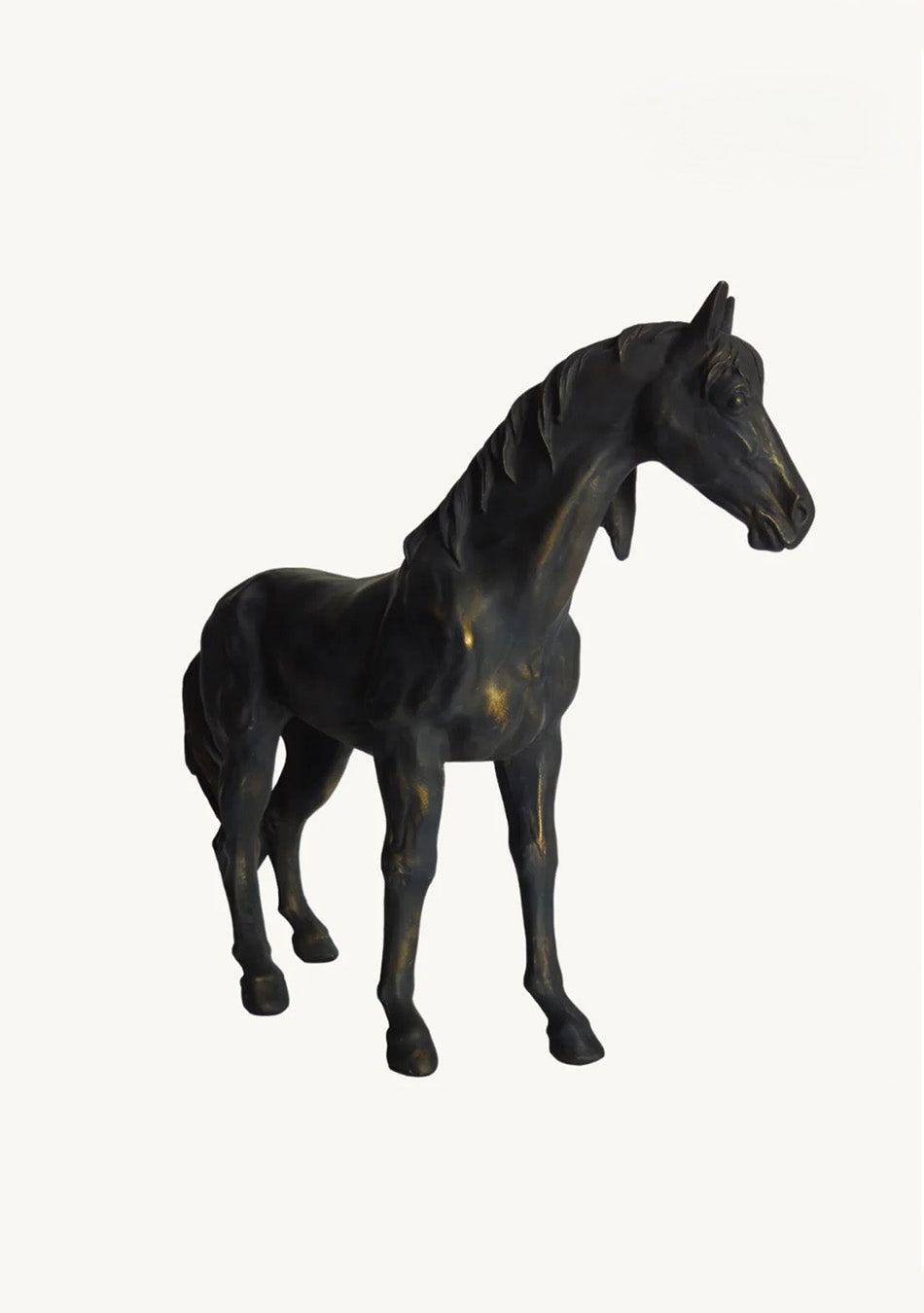 Vintage Black Stallion