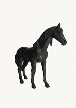 Vintage Black Stallion