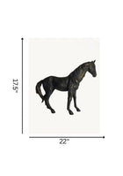 Vintage Black Stallion