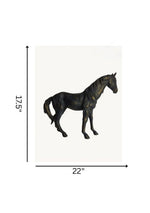 Vintage Black Stallion