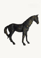 Vintage Black Stallion