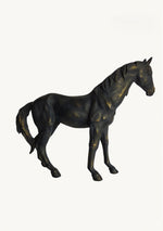 Vintage Black Stallion