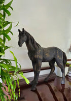 Vintage Black Stallion