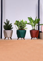 Lagos Brown self watering Eco Series Planter