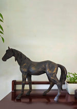 Vintage Black Stallion