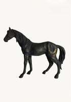 Vintage Black Stallion
